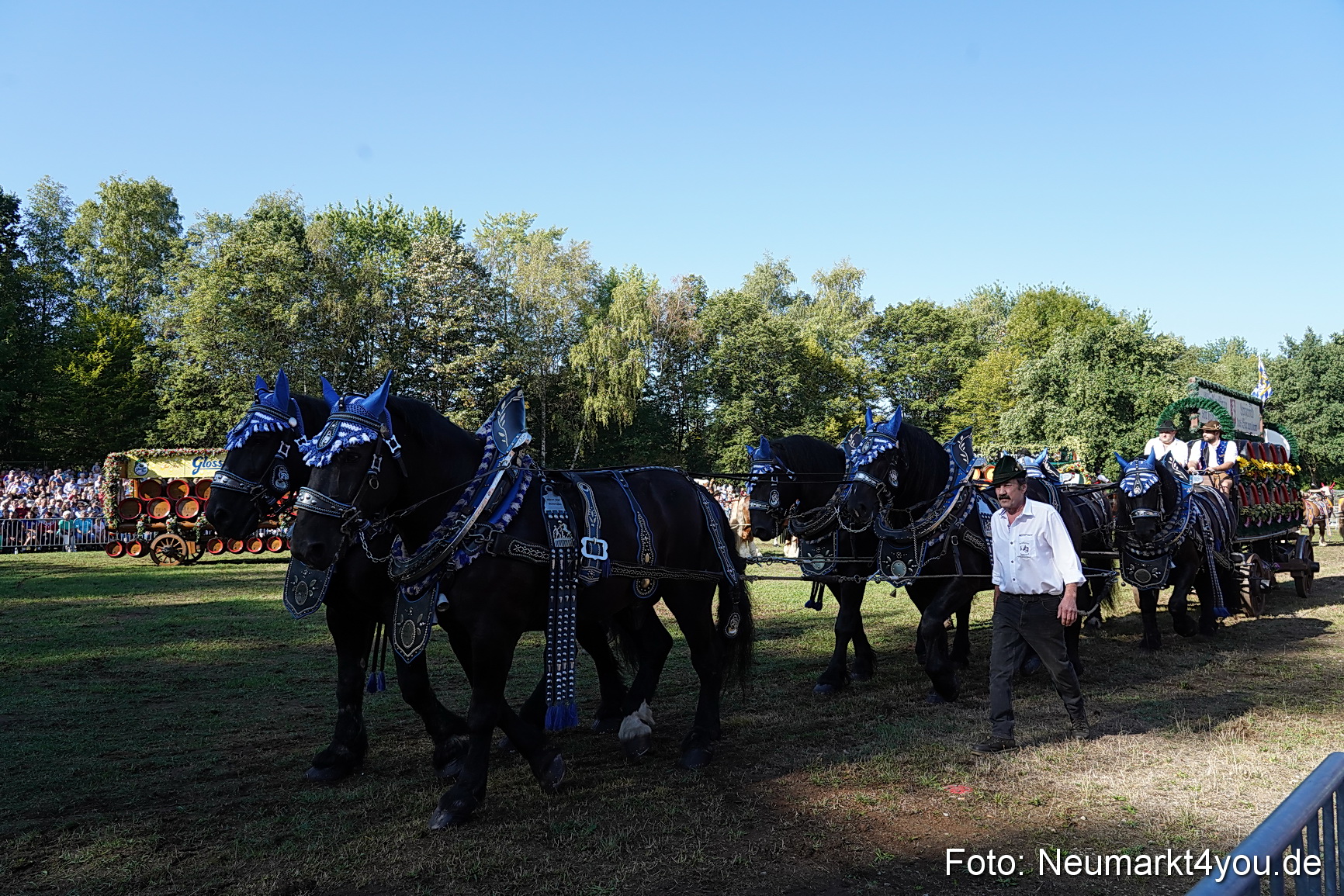 Pferde und Fohlenschau 2022 0056 